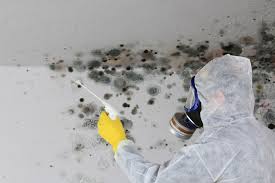 Best Mold Documentation for Insurance Claims in Thomas, OK